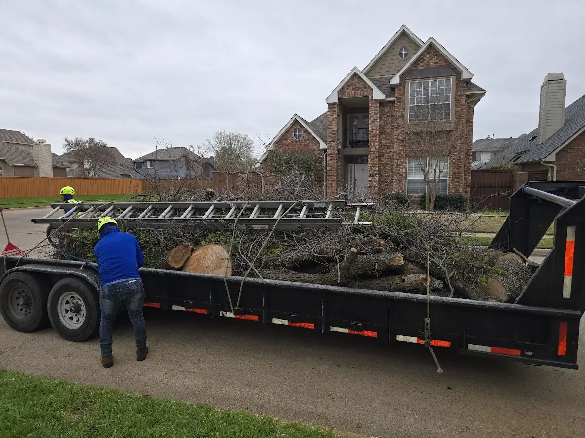 Expert Tree Fertilization with proper safety equipment in Randolph
